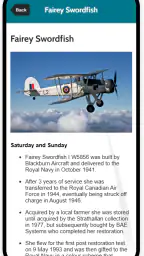 Wales Airshow screenshot