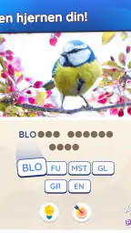 Words in a Pic - Norsk screenshot