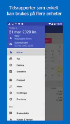 Work Log: Tidssjema & Faktura screenshot