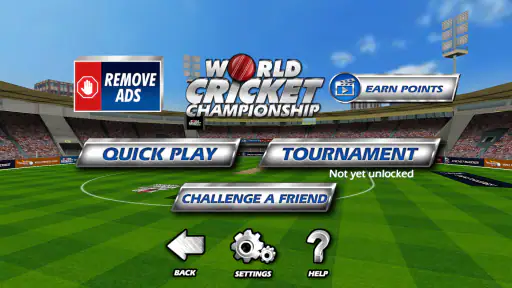 World Cricket Championship  1 screenshot