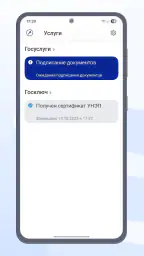 Госключ screenshot