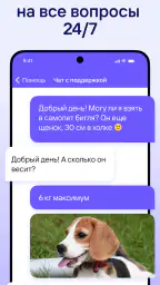 Жд билеты, отели, авиабилеты screenshot