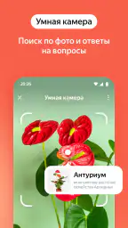 Яндекс — с Алисой AI screenshot