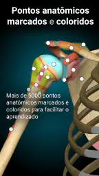 Anatomy Learning - Anatomia 3D screenshot