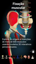 Anatomy Learning - Anatomia 3D screenshot