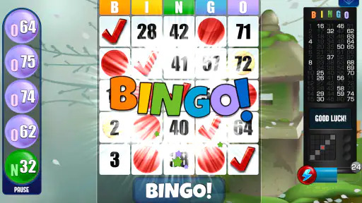 Bingo Absoluto screenshot