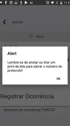 BO: Guia Boletim de ocorrencia screenshot
