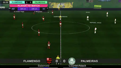 Brasileirão Série A 3D screenshot