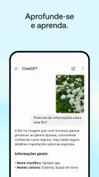 ChatGPT screenshot