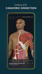 Complete Anatomy - Learn in 3D screenshot