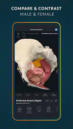 Complete Anatomy - Learn in 3D screenshot