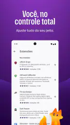 Firefox browser privado screenshot