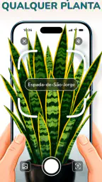 Florum: Identificar Plantas screenshot