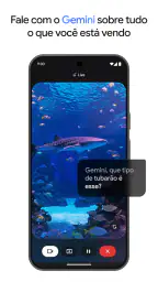 Google Gemini screenshot