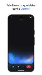 Google Gemini screenshot