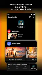 Netflix screenshot