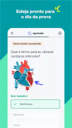 Quizlet: Estude com Flashcards screenshot