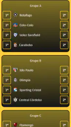 Simulador da Libertadores screenshot