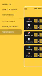 Simulador da Libertadores screenshot