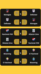Simulador da Libertadores screenshot