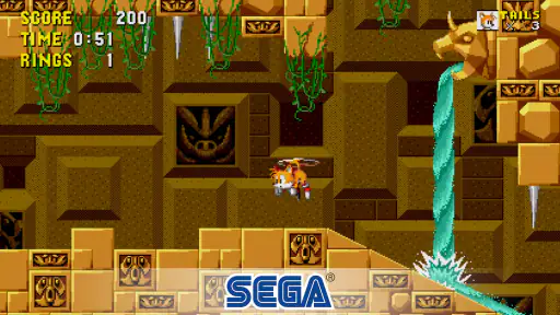 The Hedgehog 2 screenshot