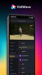VidiWave screenshot