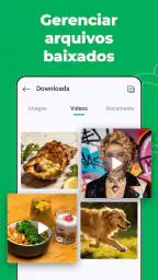 Web Scanner – Chat Duplo screenshot