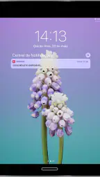 Winker screenshot