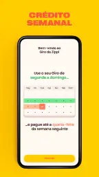 Zippi Crédito do autônomo screenshot