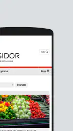 8 Sidor screenshot