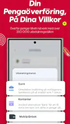 ACE Money Transfer – Pengar screenshot