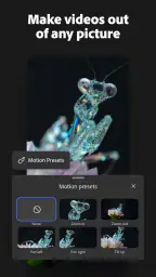Adobe Firefly AI-generator screenshot