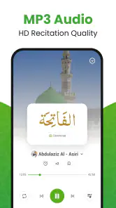 Al Koranen - القرآن الكريم screenshot