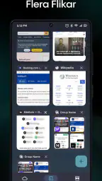 Aloha Browser + Private VPN screenshot