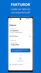 Amex SE screenshot