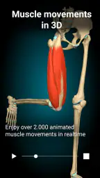 Anatomy Learning By Dr. Blanco screenshot