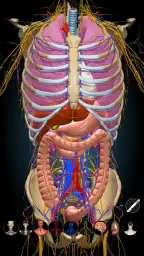 Anatomy Learning By Dr. Blanco screenshot