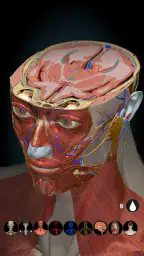 Anatomy Learning By Dr. Blanco screenshot