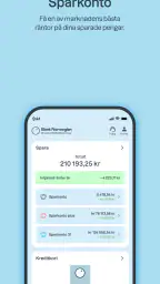 Bank Norwegian screenshot
