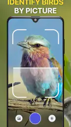 Bird Identifier Fågelläten ID screenshot