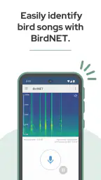 BirdNET screenshot