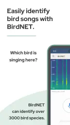 BirdNET screenshot