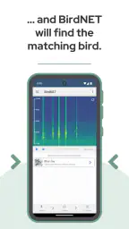 BirdNET screenshot