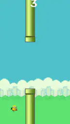 Birdy bird - Game Original screenshot