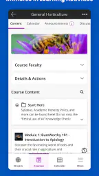 Blackboard screenshot
