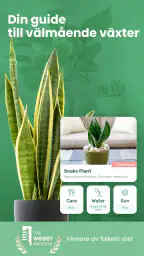 Blossom – Identifiera växter screenshot