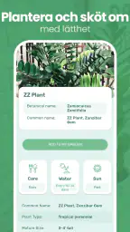 Blossom – Identifiera växter screenshot