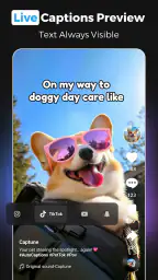 Captions AI - Auto Captions screenshot