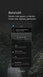 CarPay screenshot