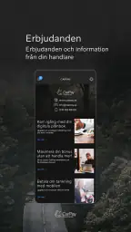 CarPay screenshot